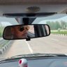 GdSINGH18's profile picture. DBGB Bank Babu