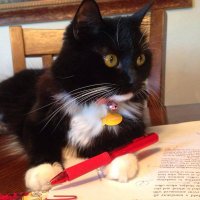 Poor Ralph's Almanac (@offcide) 's Twitter Profile Photo