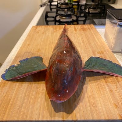 たまにお魚を食べてるエンジニアです。僕か彼女のどちらかが投稿しています。 インスタもやっているのでよかったらみていってください。 Ruby,TypeScript,Rust,Pythonあたりをよく書きます