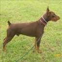 jason markley - @stolenluck - Twitter