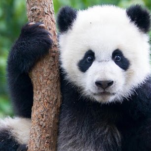 MrCuriousity7's profile picture. LF: Friends for benefits