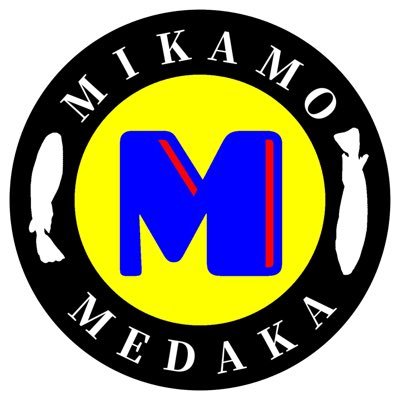 めだか好きな方との繋がりを作れたらと思っております。お気軽に連絡下さい。犬のことも呟きます。Instagramの方もよろしくお願いします。