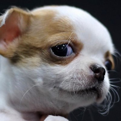 ppsssuk's profile picture. ชีวิตอย่าเอ๋อให้มันมาก!