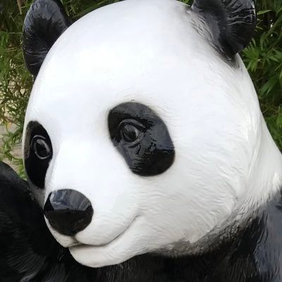 zozogura's profile picture. コスパを追及するパパ パンダ「最小の努力で最大の成果を！」が口癖。手を抜いて生活したいだけで、決して意識が高い訳ではない。 オススメするのは『我が子にも教えたい情報だけ』がポリシーで超雑多な情報が満載。6歳と3歳の娘の父🐼・筋トレ💪・ダイエット🍽・節約💰・投資📈・漫画📖・便利グッツ✂️・ブログ💻などなど