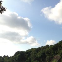 こはらまさひろ (@mshr_0206_) 's Twitter Profile