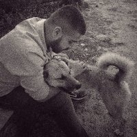 bareminimum (@rotatingdoor) 's Twitter Profile
