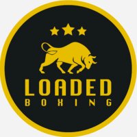 Loaded Gloves(@LoadedBoxing) 's Twitter Profile Photo