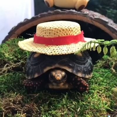 Skies84565601's profile picture. wassup