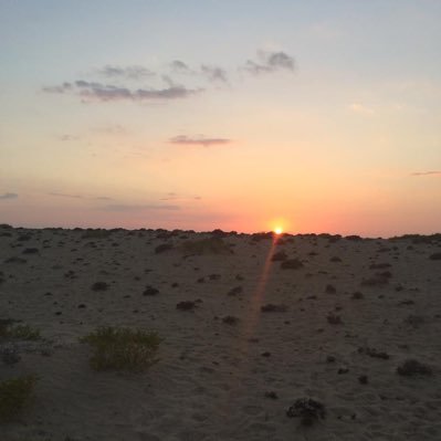 BT5fQszCOPHcDxy's profile picture. 