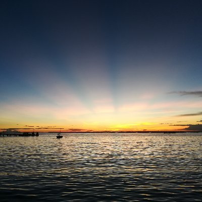 pnpya's profile picture. KUKMUTT