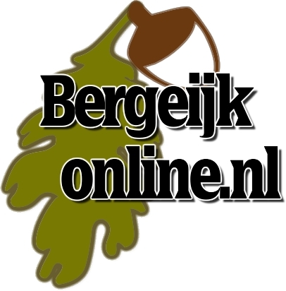 Bergeijk Online is een nieuwssite over groot Bergeijk