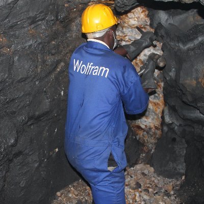 WMP_Ltd's profile picture. The Official Account of Wolfram Mining and Processing Ltd