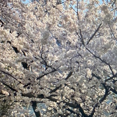 oM7lH177Aha0jAs's profile picture. #선팔 #맞팔 #FNF #it #애플 #삼성 #아이폰 #애플워치 #맥북 #구글 #윈도우 #아이맥 #안드로이드 #오피스 #컴퓨터 #인터넷#테크#tech