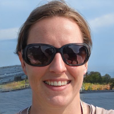 NicolaAndersonR's profile picture. Deputy headteacher, Computer science and English teacher.