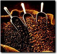 The official Twitter for Peet's Upper Market Street.