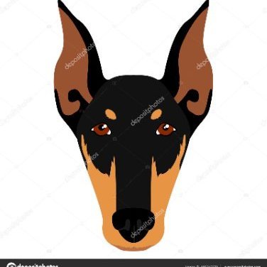 FreKO75's profile picture. Tamzak*
Back-up account