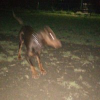 RsgKapap (@kapap78) 's Twitter Profile Photo RsgKapap (@kapap78) 's Twitter Profile Photo