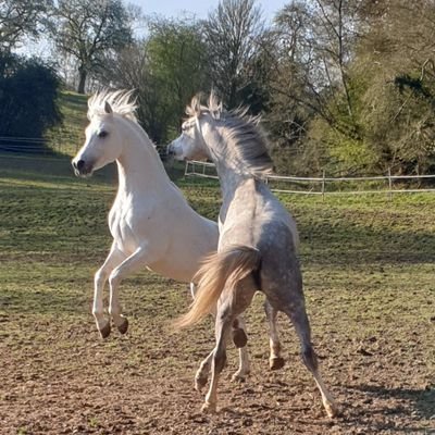 Vaillan43926409's profile picture. retraitée