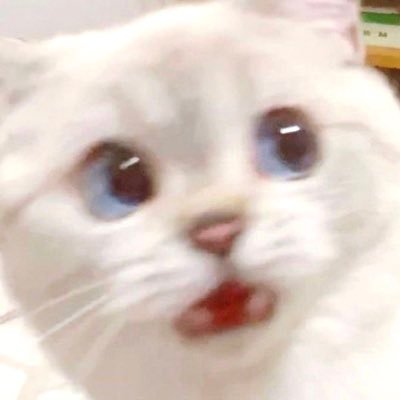 o_ne_n_ne's profile picture. 