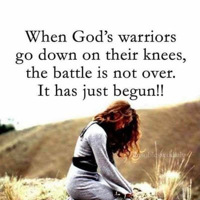 Conservative.  Imperfect Christian.

Democrat policies are destroying our way of life. 
Fight until your last breath.

#Desantis