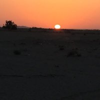 (( ﮼هاوي،علم )) (@iphon_4) 's Twitter Profile
