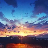 Datmescher (@datmescher) 's Twitter Profile