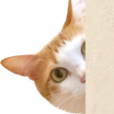 coo3_moegiさんのプロフィール画像