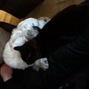 Jennifer Souter - @housefarmtweets - Twitter