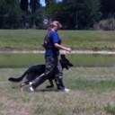 Janis Bowden - @tricountyk9fl - Twitter