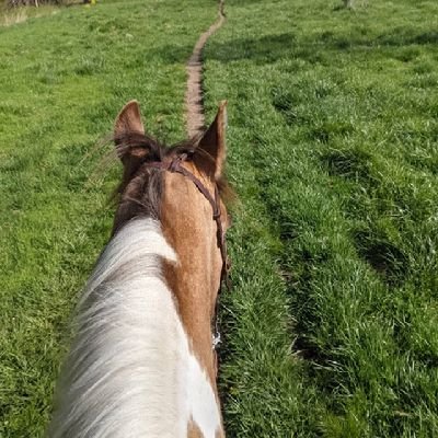 ksofly1's profile picture. mother, wife, teacher, world traveler