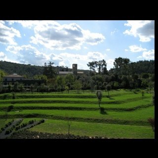 bernatargemi's profile picture. 