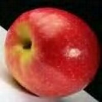 Roll the Apple(@RolltheApple) 's Twitter Profile Photo