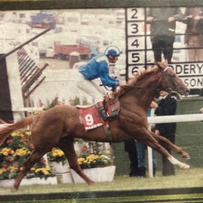 Nashwan_Derby's profile picture. 日本馬の凱旋門賞制覇を現地で見たくて毎年通っている大バカ者。馬券歴は昭和最後の年から、映画、ラグビー、歴史小説、ロボットアニメも好き。基本趣味の為に生きてます（苦笑）