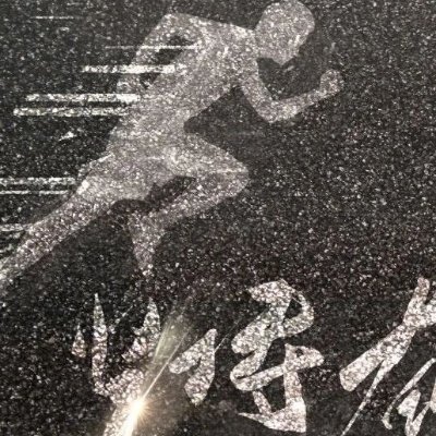 shareai2's profile picture. 