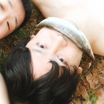 zuzuzuzuzuX's profile picture. アルダブラゾウガメ、ロシアリクガメ、バブコックヒョウモンガメ、オオアタマヒメニオイガメ、ミシシッピニオイガメ、クランウェルツノガエル、カブクワ、ダンゴムシ、ムネアカオオアリ、スタンダードプードル(譲渡犬)等を飼っております。