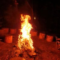 Frifrafrog (@frifragrog) 's Twitter Profile