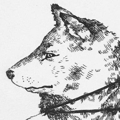前田映日果さんのプロフィール画像
