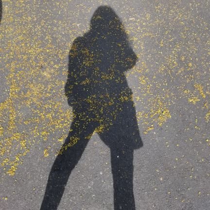 gabbymazing09's profile picture. 🕊 Alis Propriis Volat🌼
💕Fly as high as you can but never forget to land your feet on the ground.   🌸🌼