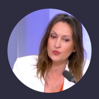 Professeur des Universités, droit public (Paris 1 Panthéon-Sorbonne). Avocat (1997-2022), Ex Doyen (UFR), Directrice prep'ENA (2016-2019) Cabinet de Conseil