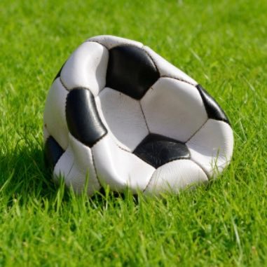 WorstSoccerMom's profile picture. I am bad at this. ⚽️