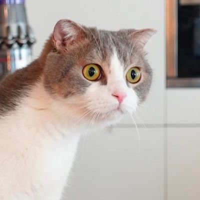 A0422Miss's profile picture. LALISA ที่แปลว่าควีนอะ 👑 ส่องก่อนฟอลแอคนี้ Lisa stan (only Lisa) #LISA #Blackpink Lisa chanel YT 🔗https://t.co/x4Dmin1Gpu