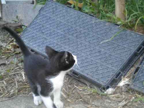 tga2011's profile picture. 