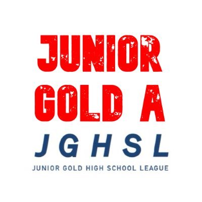 Junior Gold A  🏒  Junior Gold hockey provides another opportunity for high school age players to continue playing while developing their skills.  🏒  @JGHSL_MN
