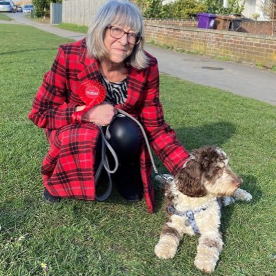 North Herts Council exec Cllr, Leader of Herts CC Labour Group, leadership adviser, mother & grandmother. Dual nationality. Jungian leanings. Views all mine.