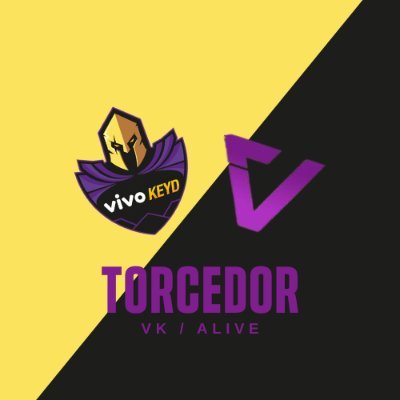 💜💛Perfil feito por um torcedor da VK no FF💜💛