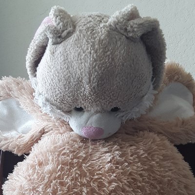 Twitter account of a bunny and her bestest stuffie, BunBun. She/Her. 18+.