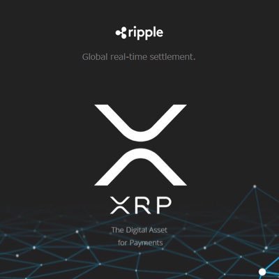 YUiNAXRP1's profile picture. 