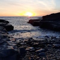 Ruth Goodall (@ruthkgoodall1) 's Twitter Profile