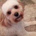 Carl (@carl05270998) Twitter profile photo Carl (@carl05270998) Twitter profile photo