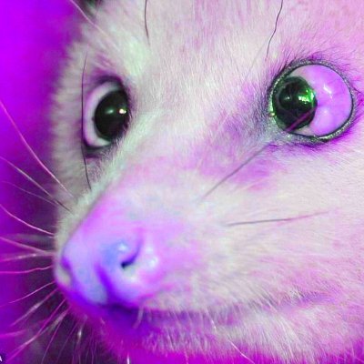 FashionBudokai's profile picture. LETS GO FASHION